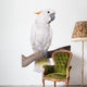 Cockatoo, half Citron half Umbrella, isolated on white Wall Decal