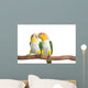 Caique, White Bellied, isolated on white Wall Decal