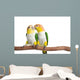 Caique, White Bellied, isolated on white Wall Decal