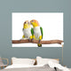Caique, White Bellied, isolated on white Wall Decal