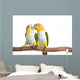 Caique, White Bellied, isolated on white Wall Decal