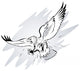 Spread Winged Eagle with Wall Mural