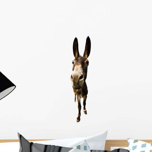 funny donkey with long ears Wall Decal