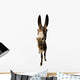 funny donkey with long ears Wall Decal