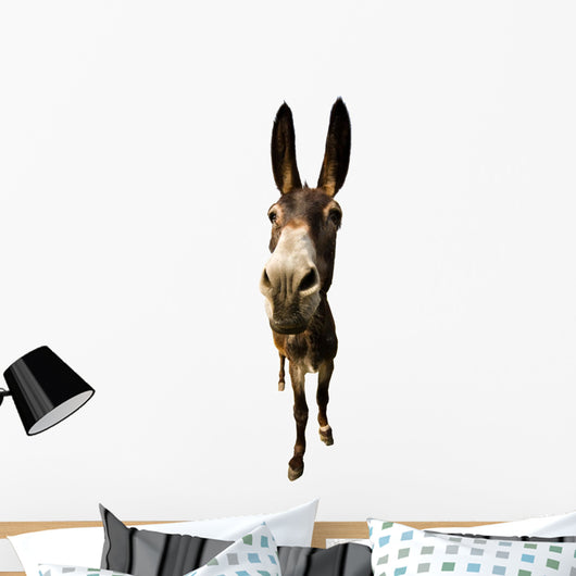 funny donkey with long ears Wall Decal