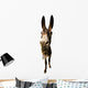 funny donkey with long ears Wall Decal