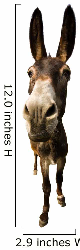 funny donkey with long ears Wall Decal