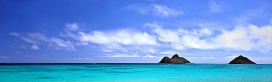 Pacific Ocean - Near Oahu Hawaii Wall Mural