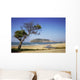 Alanya Peninsula from Beach Wall Decal Design 1
