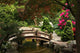 Japanese Garden Wall Decal