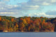 Fall Trees Wall Decal