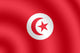Flag of Tunisia Wall Mural