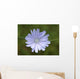 Cvete Wall Mural