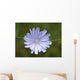 Cvete Wall Mural