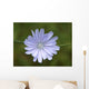 Cvete Wall Mural