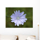 Cvete Wall Mural