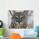 Great Gray Owl up Wall Mural