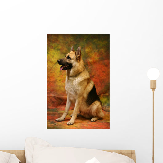German Shepherd Sitting Wall Mural