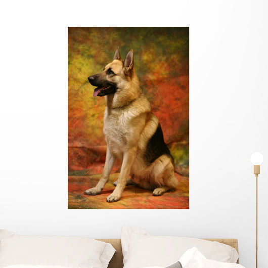 German Shepherd Sitting Wall Mural