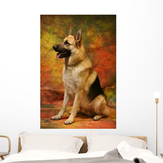 German Shepherd Sitting Wall Mural