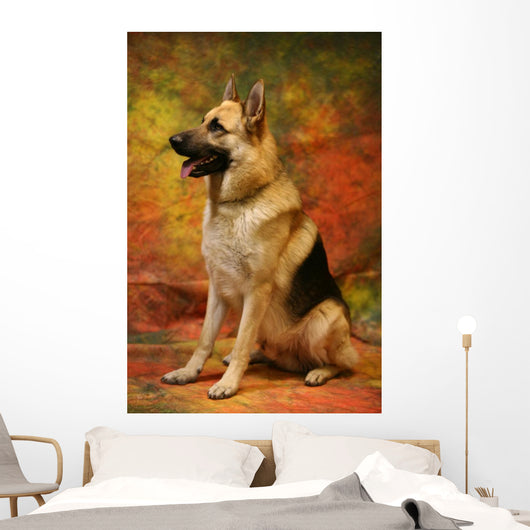 German Shepherd Sitting Wall Mural