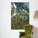 Colorado Aspens Wall Mural