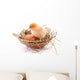 Chicken and egg in nest Wall Decal