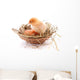 Chicken and egg in nest Wall Decal