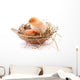 Chicken and egg in nest Wall Decal