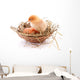 Chicken and egg in nest Wall Decal