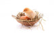 Chicken and egg in nest Wall Decal
