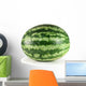 watermelon Wall Decal