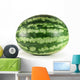 watermelon Wall Decal