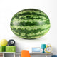 watermelon Wall Decal