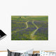 Grape Hyacinths Cover Original Wall Mural
