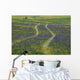 Grape Hyacinths Cover Original Wall Mural