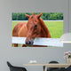 Beautiful Smokey Mountain Horse Wall Mural