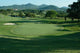 Golf Green Wall Mural