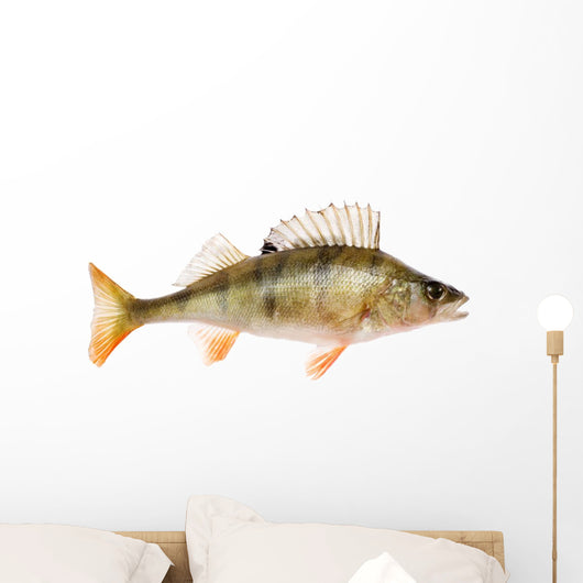 Perch Wall Decal