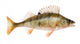 Perch Wall Decal