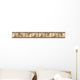 Film Wall Mural