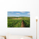 Vineyard Aubois Gye Sur Wall Decal