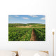 Vineyard Aubois Gye Sur Wall Decal