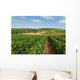 Vineyard Aubois Gye Sur Wall Decal