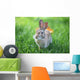 Rabbit Wall Mural