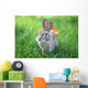 Rabbit Wall Mural