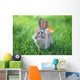 Rabbit Wall Mural
