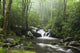 Smoky Mountains Wall Mural