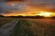 Sunset Landscape Wall Decal