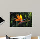bird of paradise Wall Mural